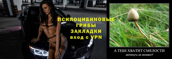 дурь Надым