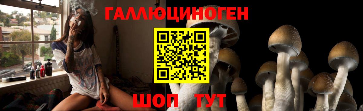 Псилоцибиновые грибы GOLDEN TEACHER  Вход с VPN  Сочи 