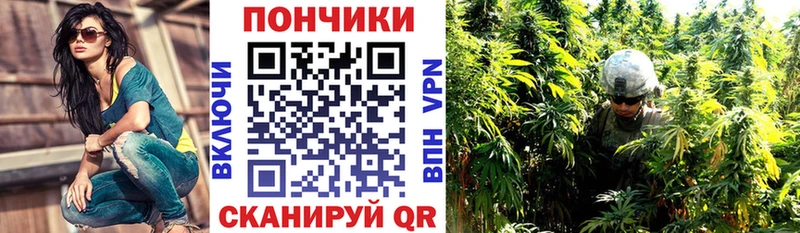 где купить Сочи Канабис план